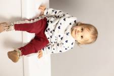 Didier FAES - DIDIER FAES