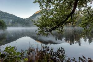 Pierre RICH - Rich Photographe